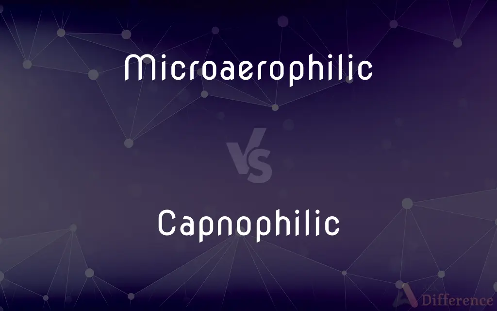 Microaerophilic vs. Capnophilic — What's the Difference?