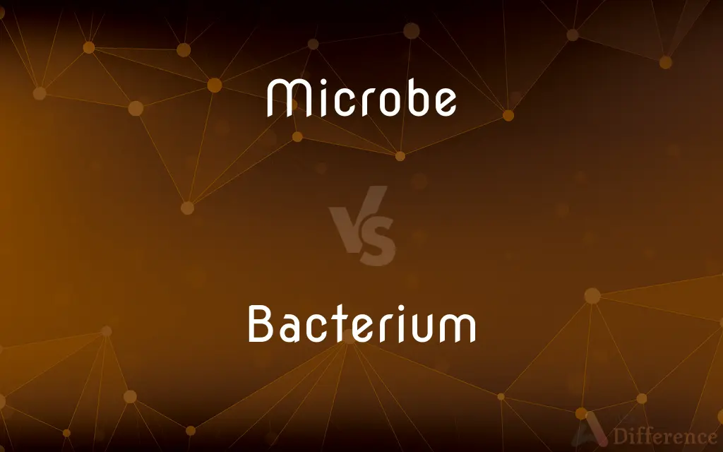Microbe vs. Bacterium — What's the Difference?