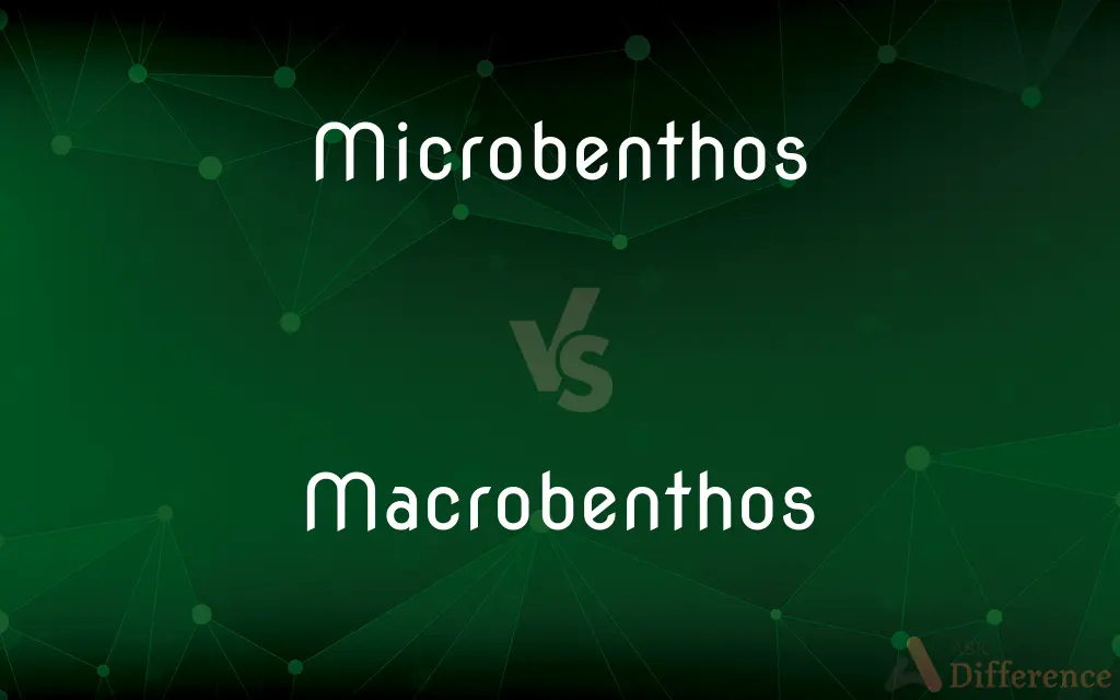 Microbenthos vs. Macrobenthos — What's the Difference?