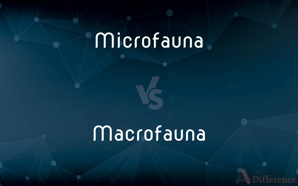 Microfauna vs. Macrofauna — What's the Difference?