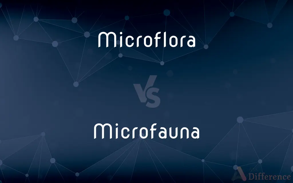 Microflora vs. Microfauna — What's the Difference?