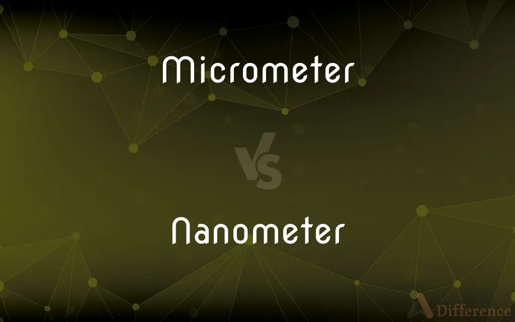 Micrometer vs. Nanometer — What's the Difference?