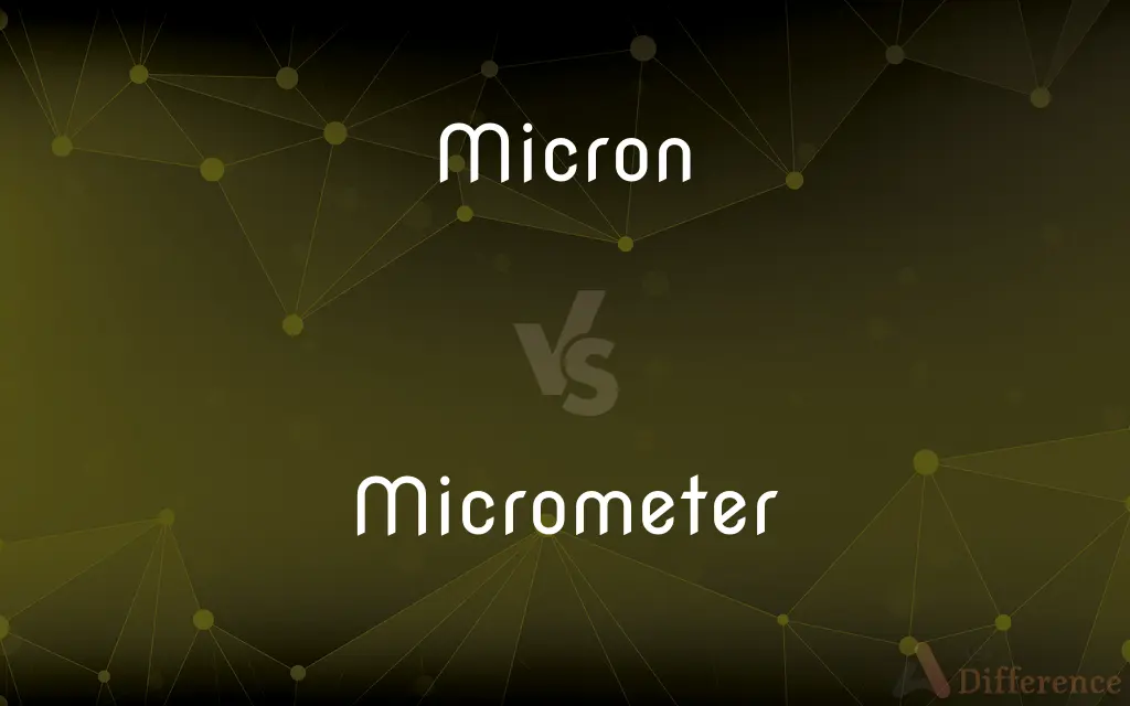 Micron vs. Micrometer — What's the Difference?