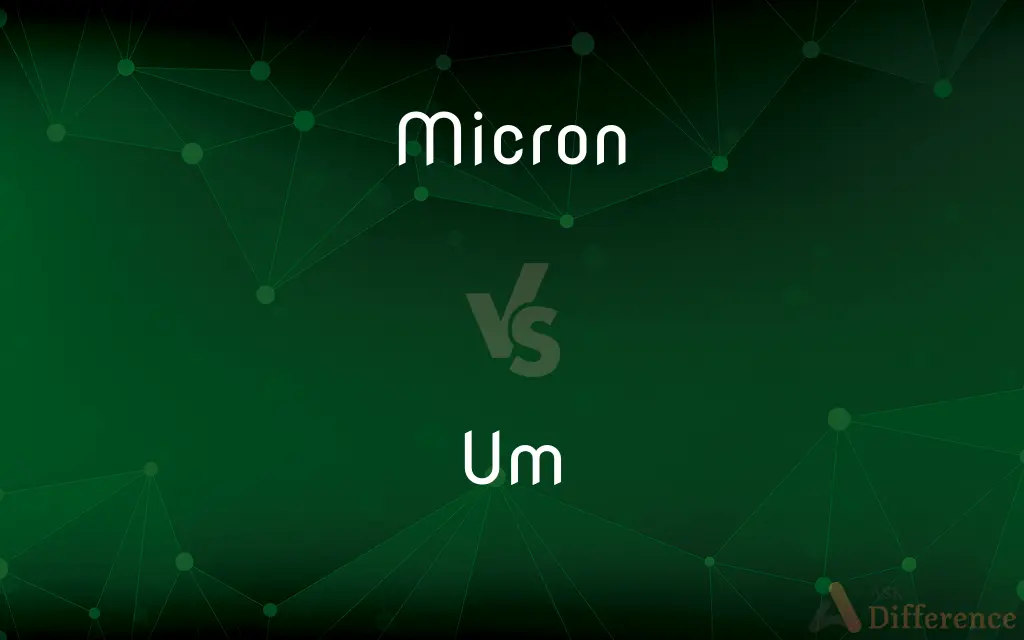 Micron vs. Um — What's the Difference?