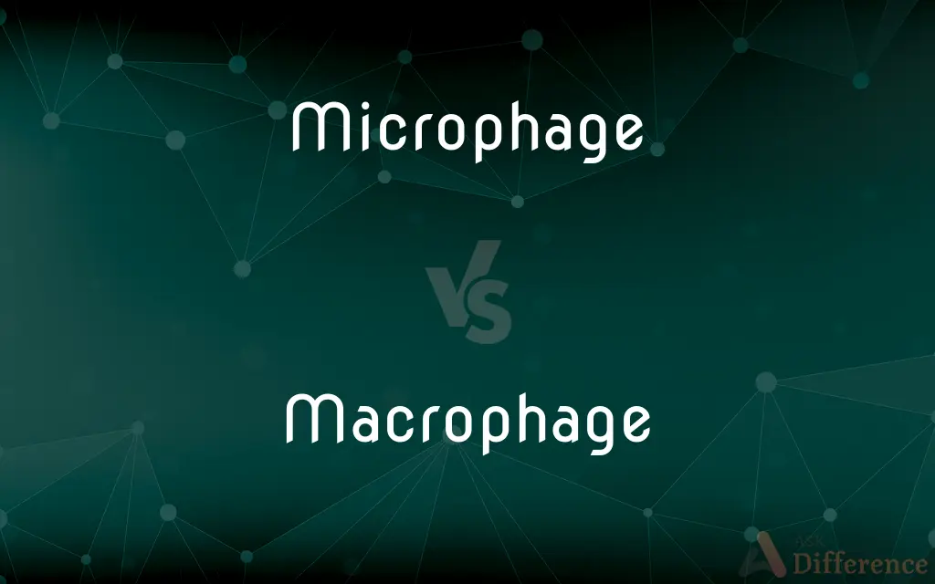 Microphage vs. Macrophage — What's the Difference?