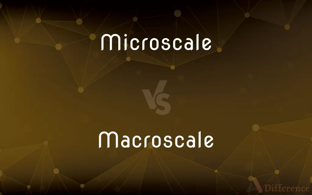 Microscale vs. Macroscale — What's the Difference?