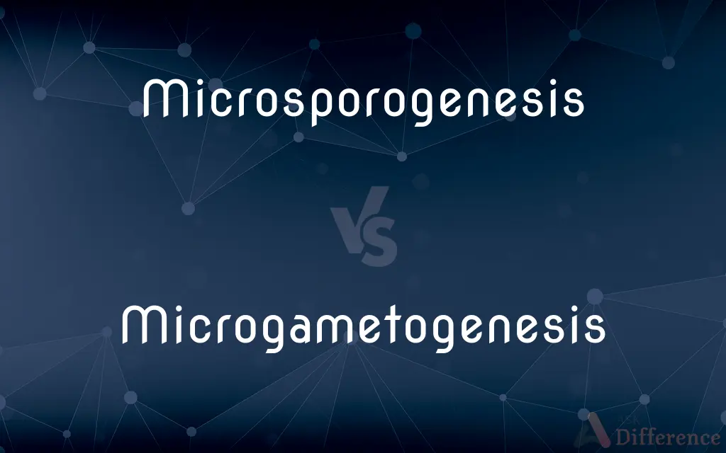 Microsporogenesis vs. Microgametogenesis — What's the Difference?