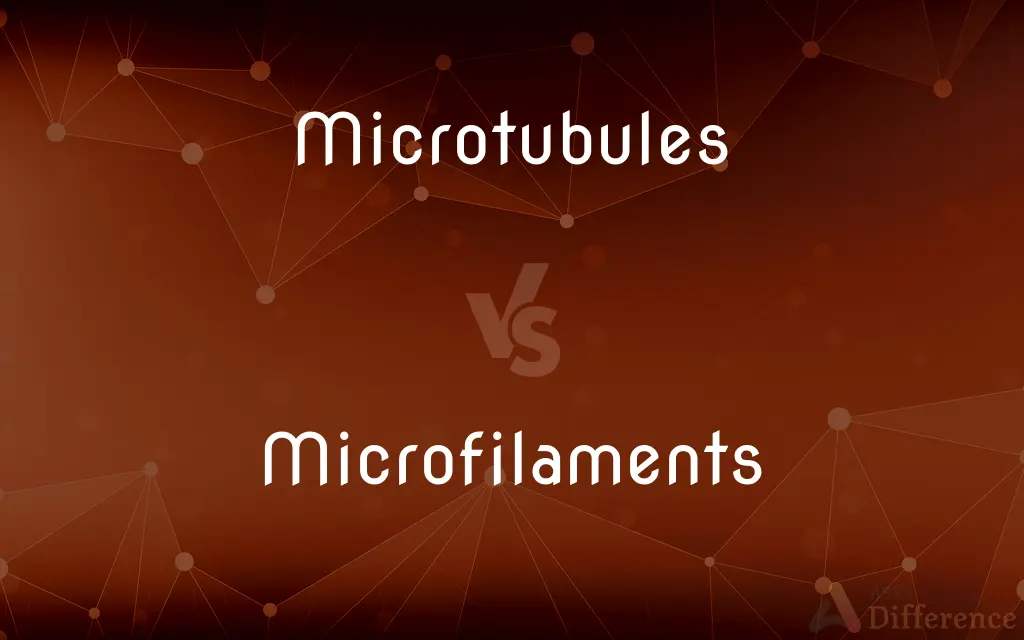 Microtubules vs. Microfilaments