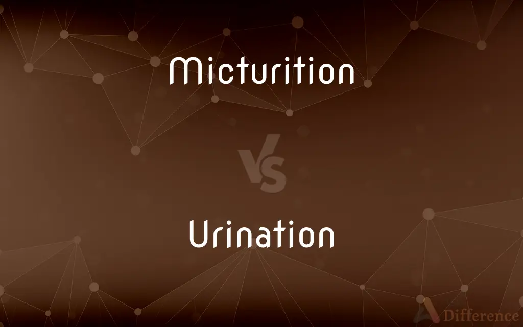 Micturition vs. Urination — What's the Difference?