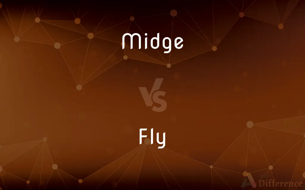 Midge vs. Fly — What's the Difference?