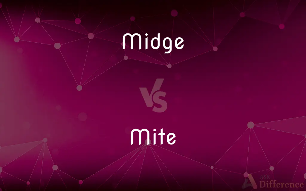 Midge vs. Mite — What's the Difference?