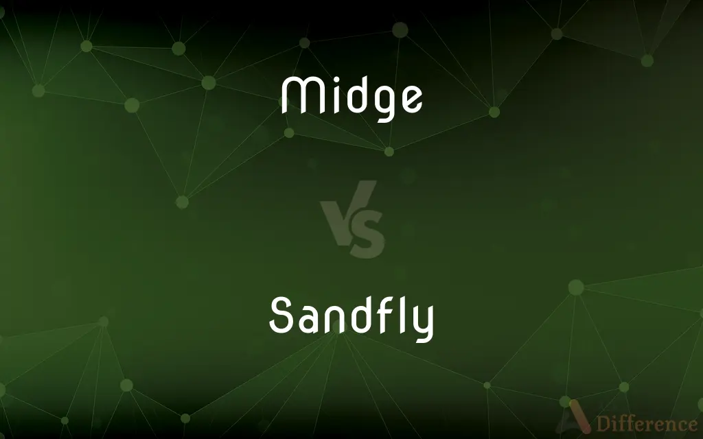 Midge vs. Sandfly — What's the Difference?