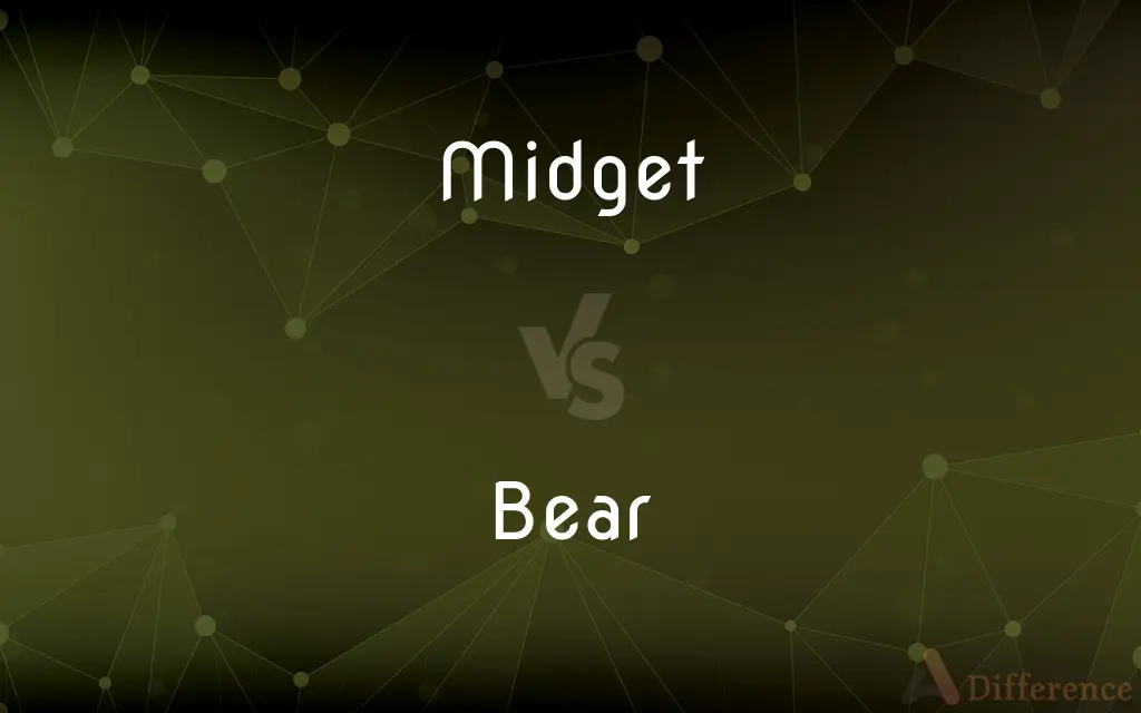 Midget vs. Bear — What's the Difference?