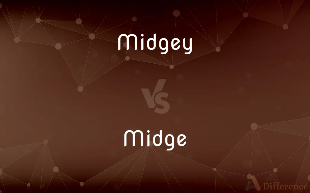 Midgey vs. Midge — What's the Difference?