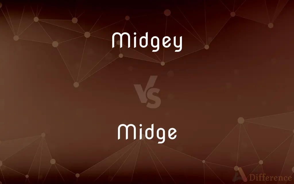Midgey vs. Midge — Which is Correct Spelling?