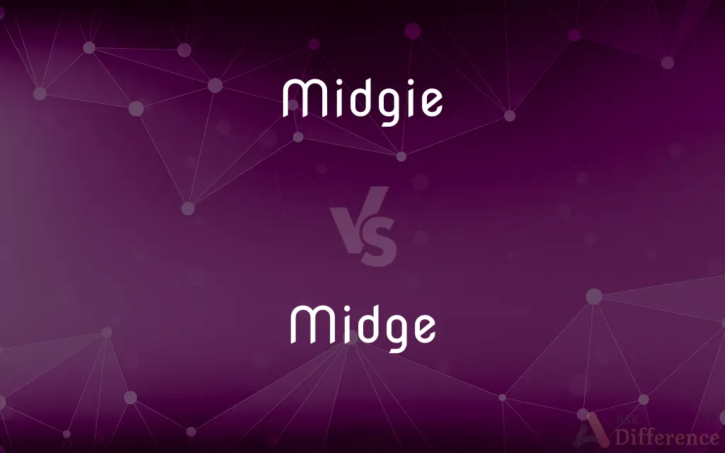 Midgie vs. Midge — Which is Correct Spelling?