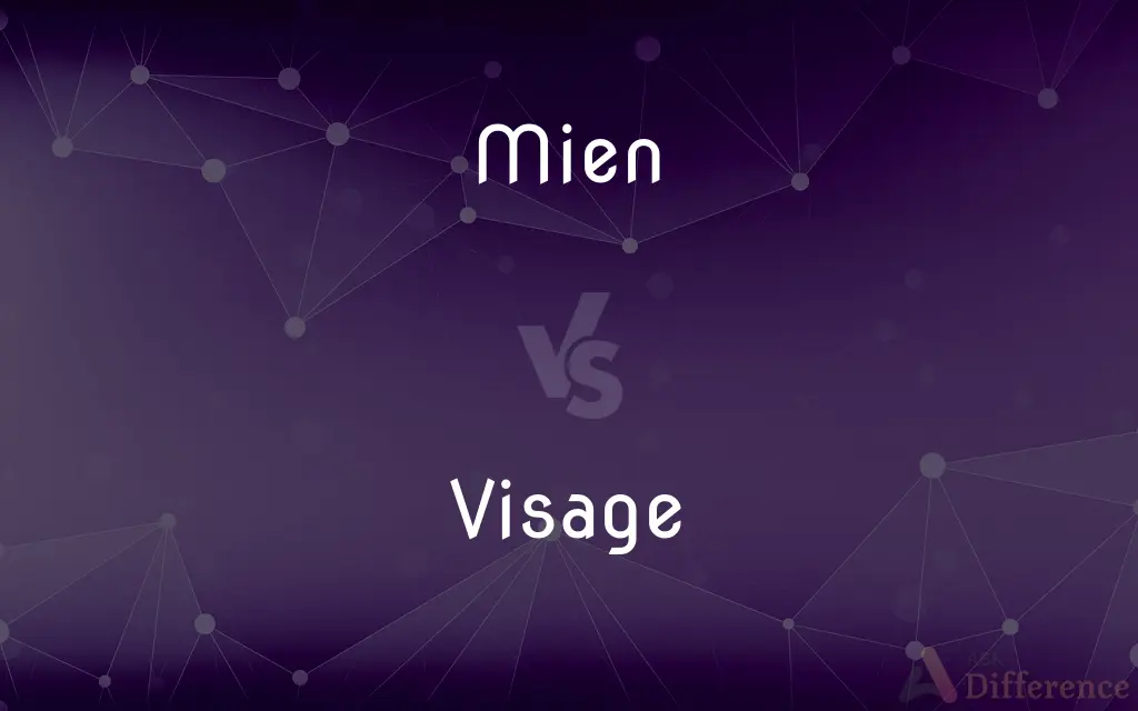 Mien vs. Visage — What's the Difference?