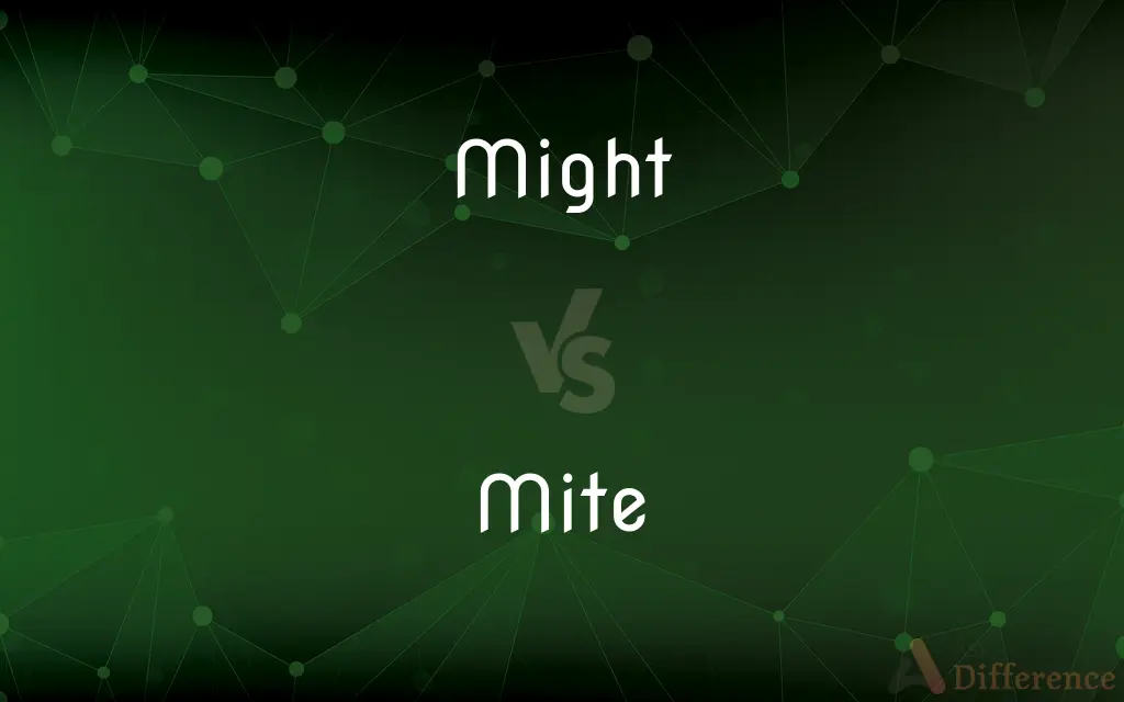 Might vs. Mite — What's the Difference?
