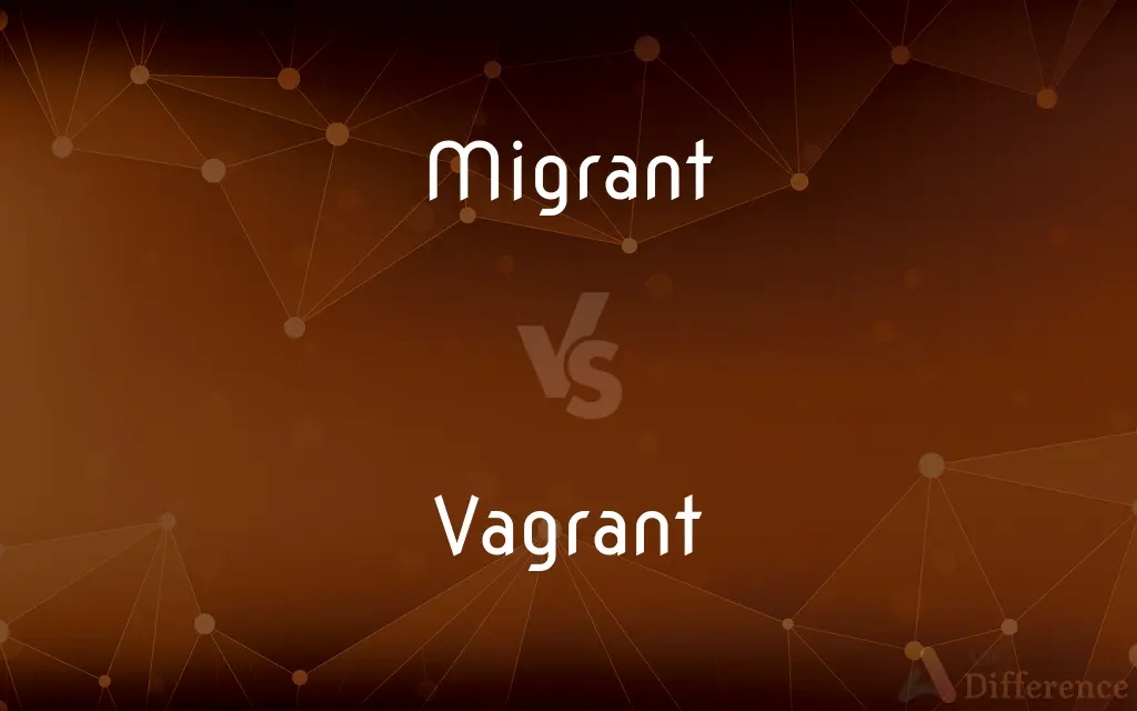 Migrant vs. Vagrant — What's the Difference?