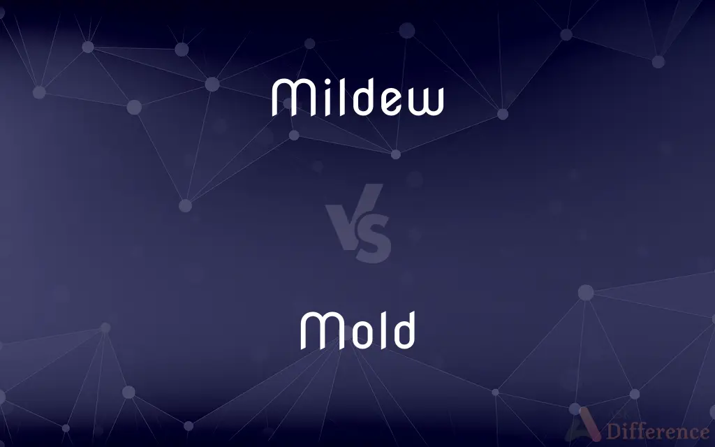 Mildew vs. Mold — What's the Difference?