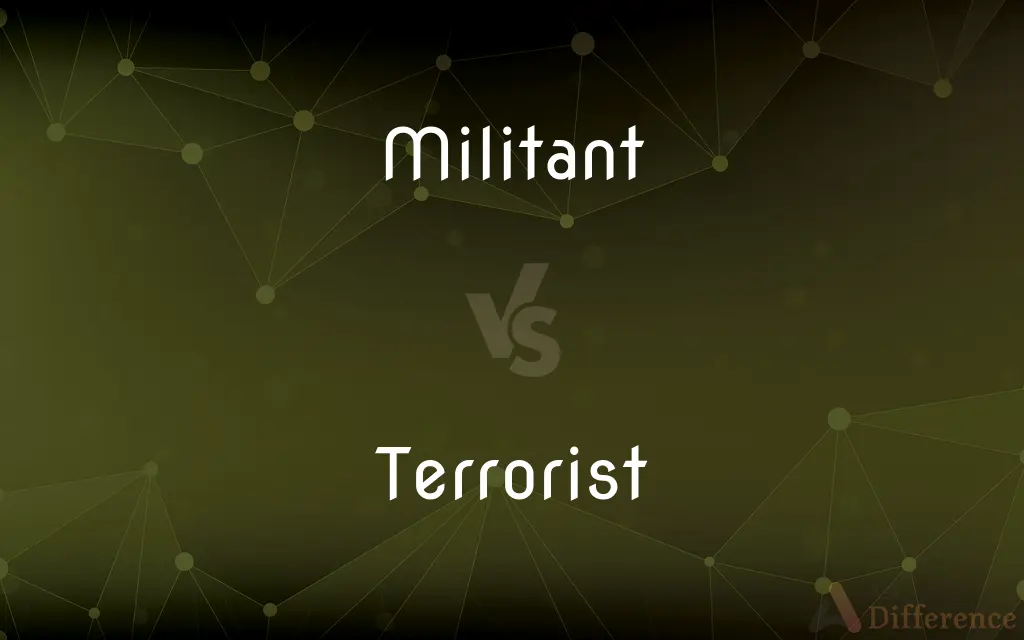 Militant vs. Terrorist — What's the Difference?