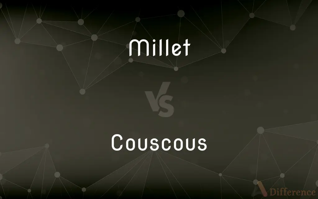 Millet vs. Couscous — What's the Difference?