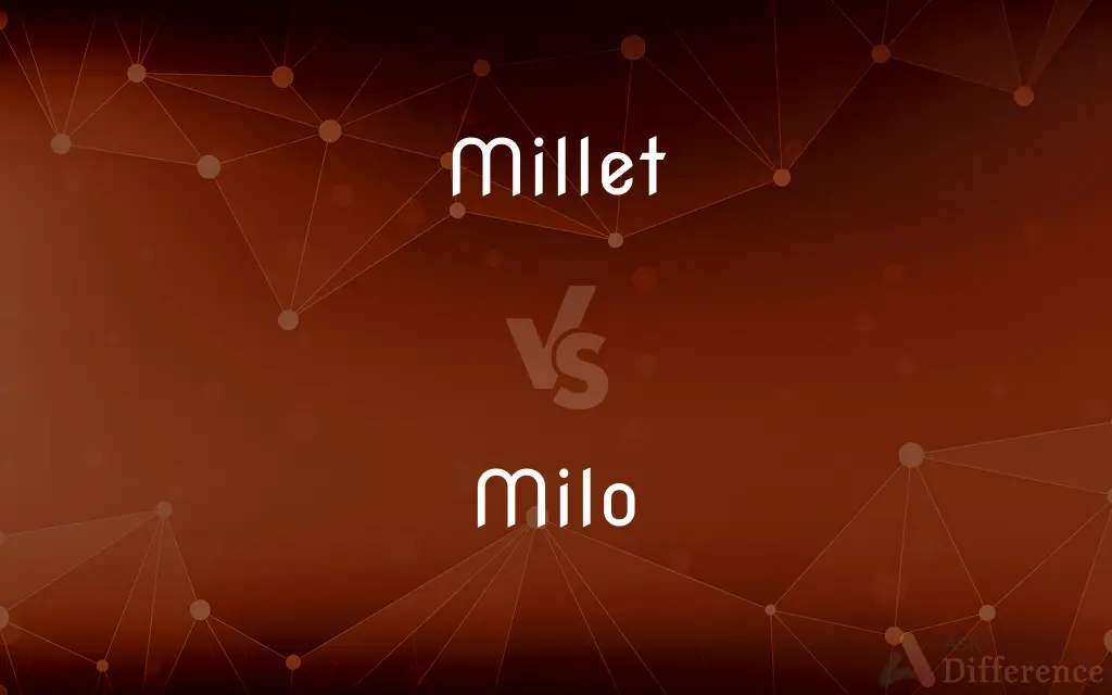 Millet vs. Milo — What's the Difference?
