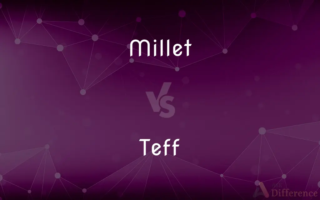 Millet vs. Teff — What's the Difference?
