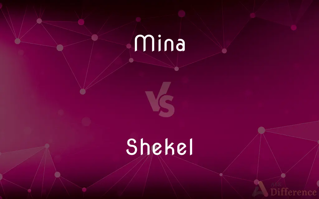 Mina vs. Shekel — What's the Difference?