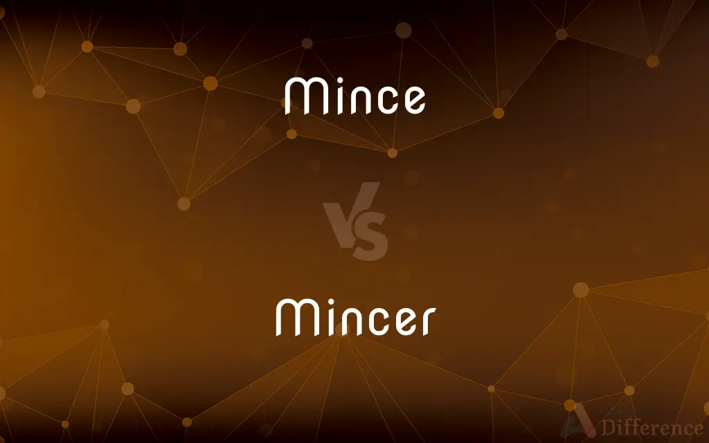 Mince vs. Mincer — What's the Difference?