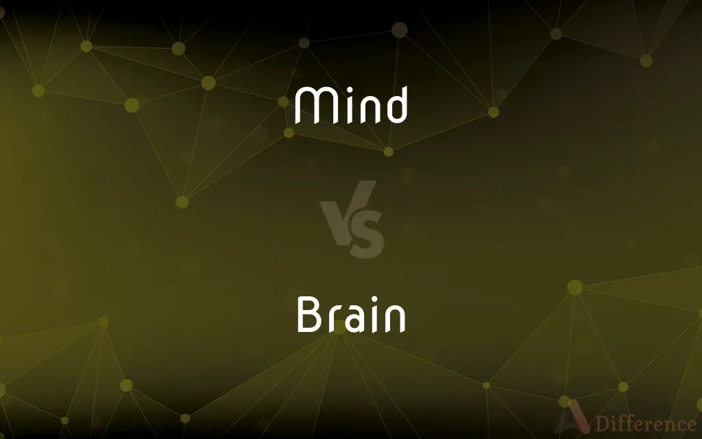 Mind vs. Brain — What's the Difference?