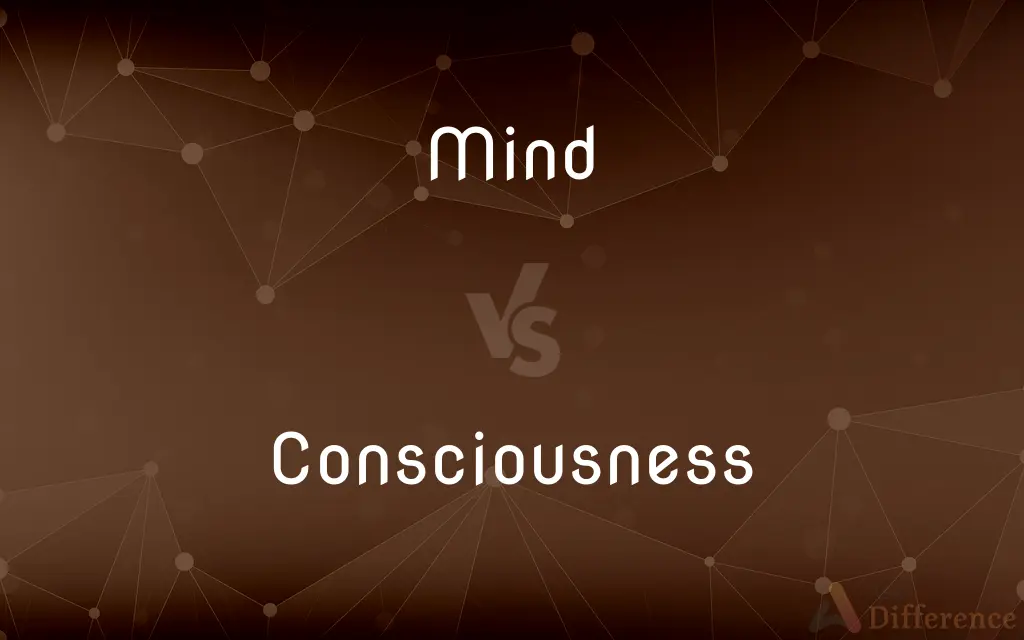 Mind vs. Consciousness — What's the Difference?