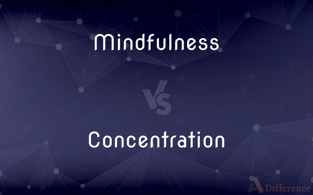 Mindfulness vs. Concentration — What's the Difference?