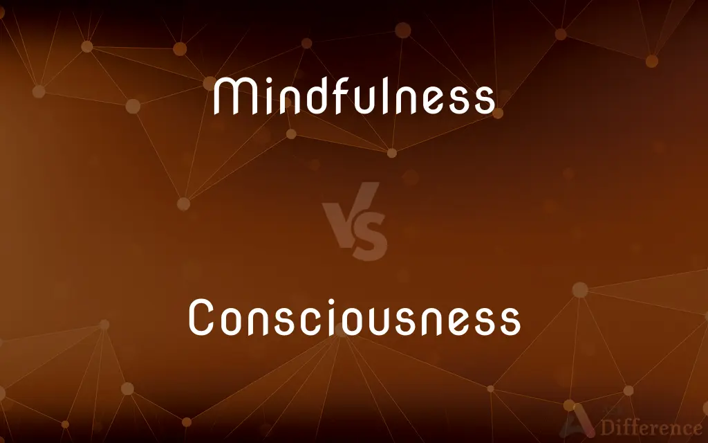 Mindfulness vs. Consciousness — What's the Difference?