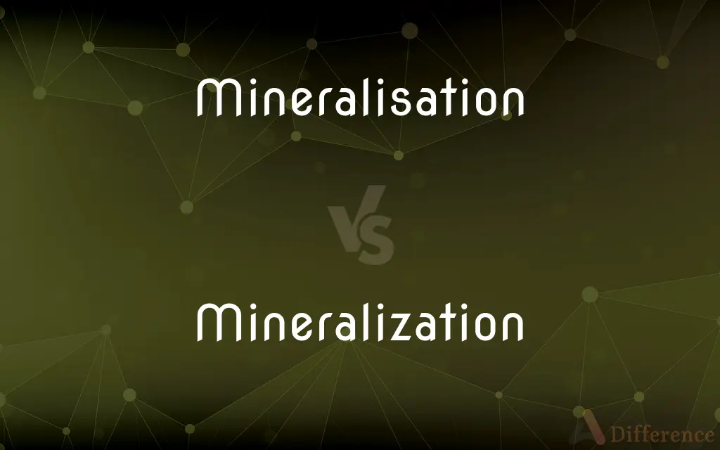 Mineralisation vs. Mineralization — What's the Difference?
