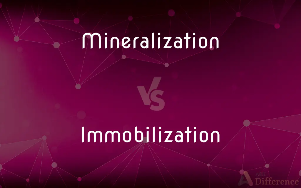 Mineralization vs. Immobilization — What's the Difference?