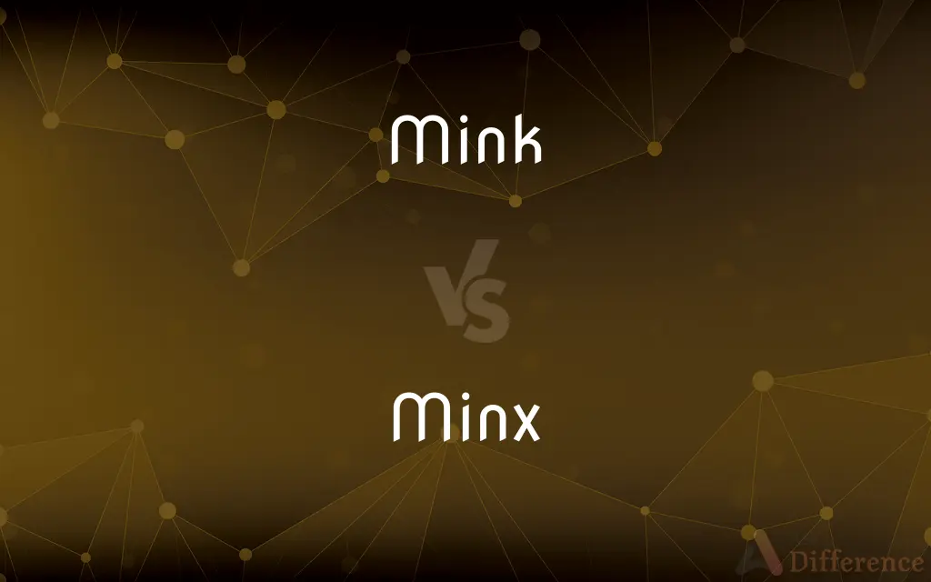 Mink vs. Minx — What's the Difference?