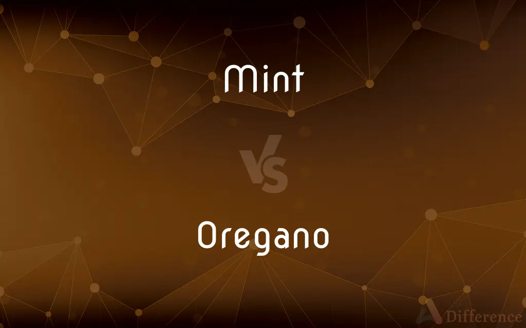 Mint vs. Oregano — What's the Difference?