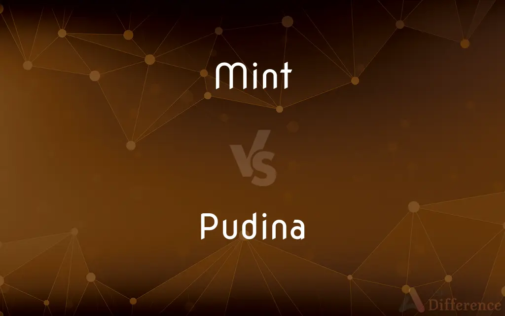 Mint vs. Pudina — What's the Difference?