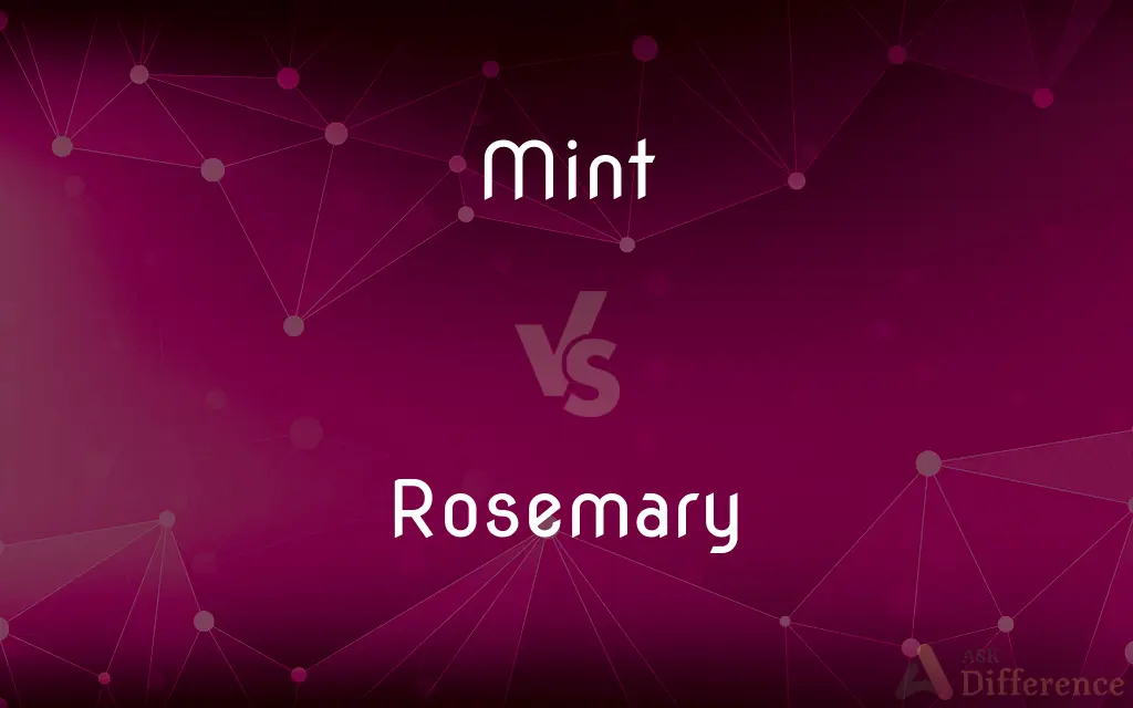 Mint vs. Rosemary — What's the Difference?