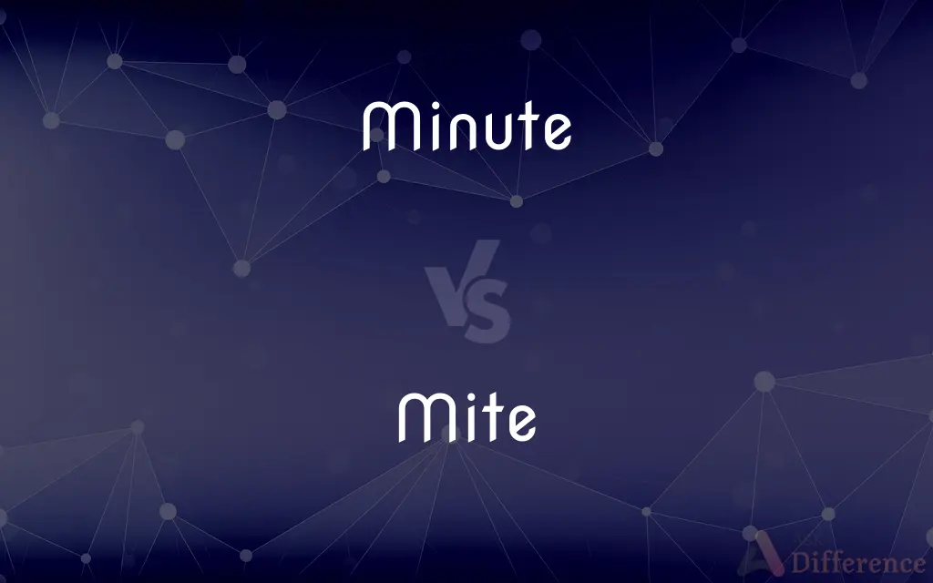 Minute vs. Mite — What's the Difference?