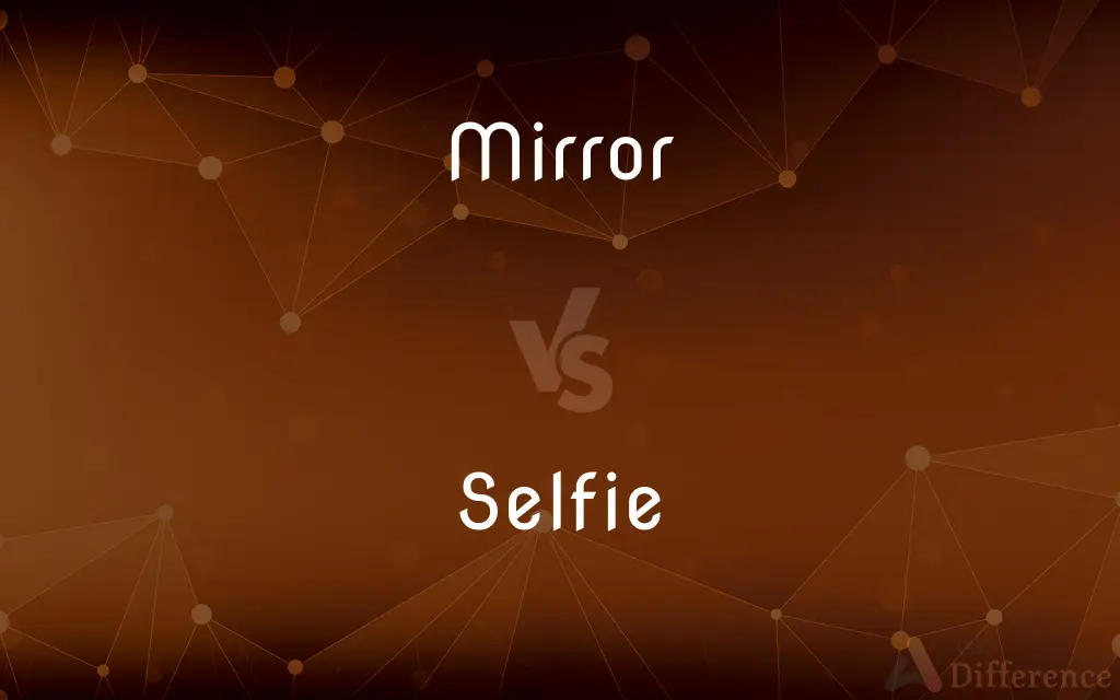 Mirror vs. Selfie — What's the Difference?
