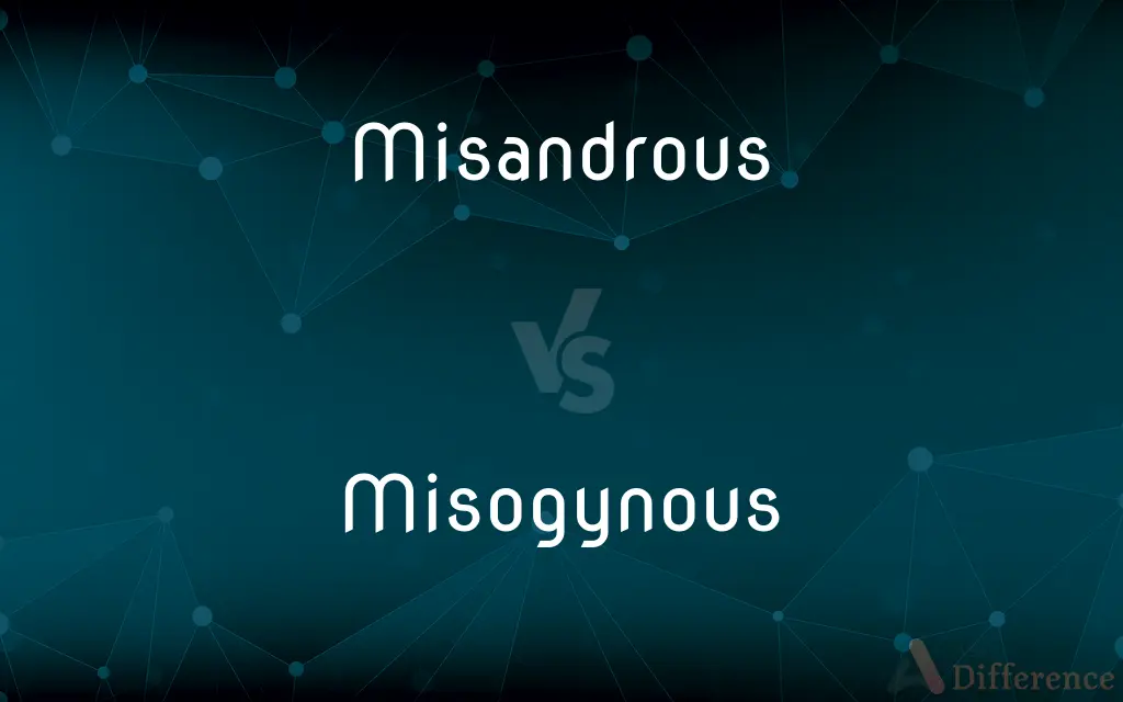 Misandrous vs. Misogynous — What's the Difference?