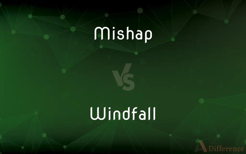 Mishap vs. Windfall — What's the Difference?