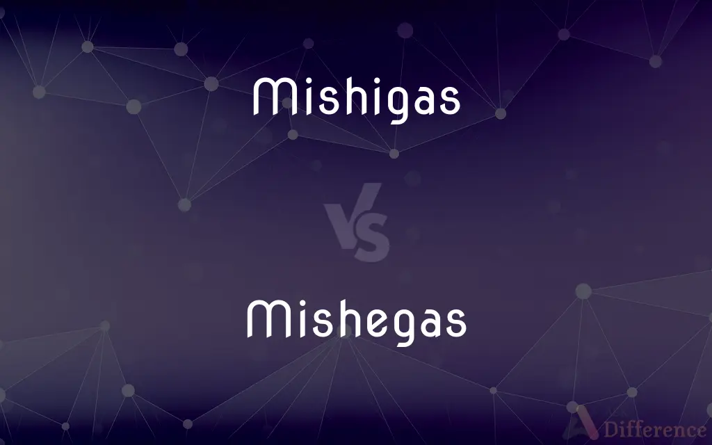 Mishigas vs. Mishegas — What's the Difference?