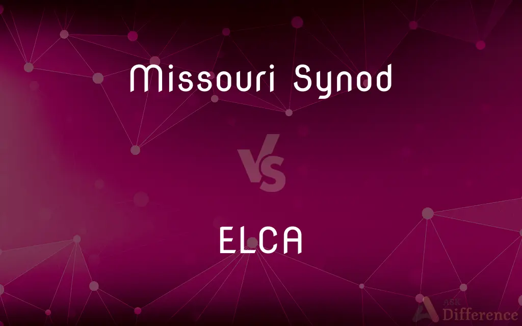 Missouri Synod vs. ELCA — What's the Difference?