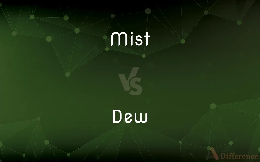 Mist vs. Dew — What's the Difference?
