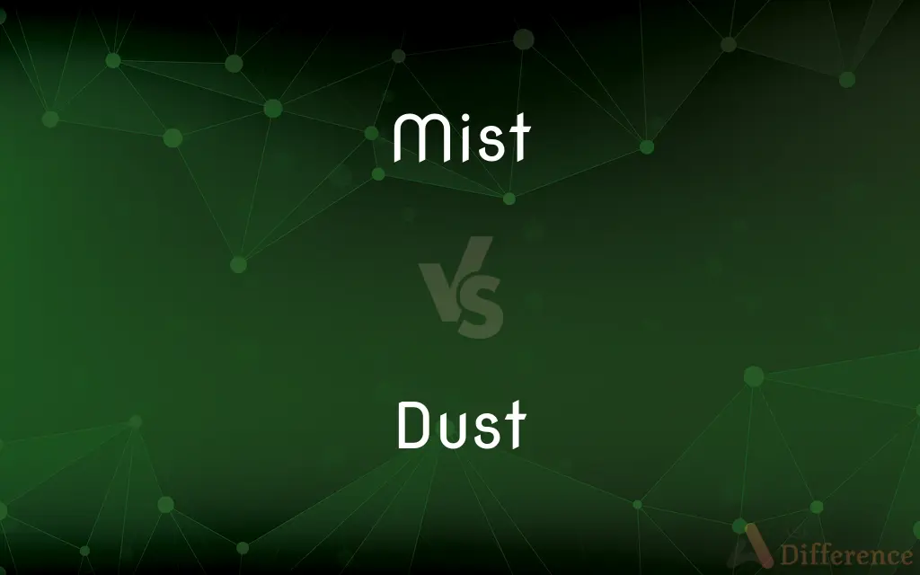Mist vs. Dust — What's the Difference?