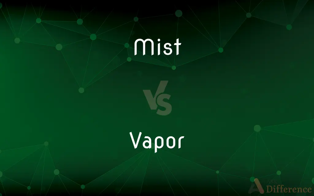 Mist vs. Vapor — What's the Difference?