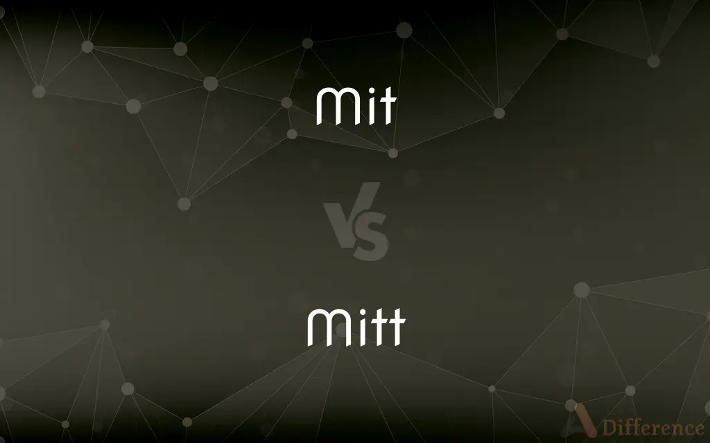 Mit vs. Mitt — Which is Correct Spelling?